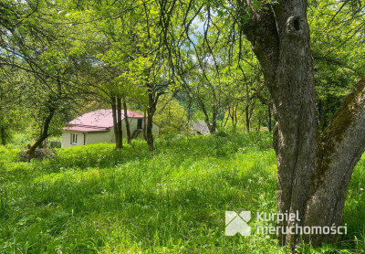 Aksmanice mały murowany dom siedlisko pod lasem