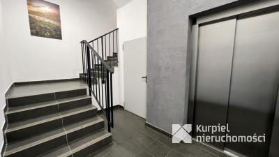 Apartament 3-pokojowy Goszczyńskiego