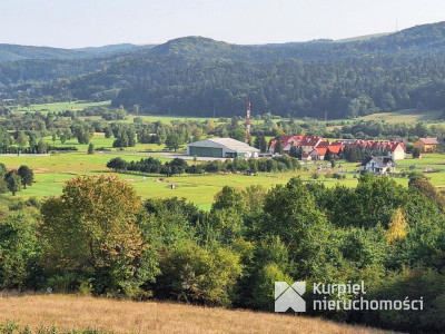 Wzgórze pod lasem w Huwnikach