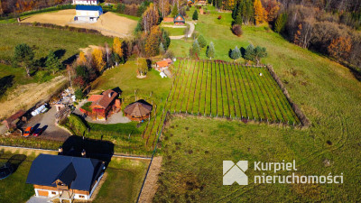 Klimatyczna winnica  na pograniczu Bieszczad