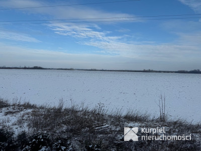 Niewielki nowy dom z garażem Sośnica Brzeg